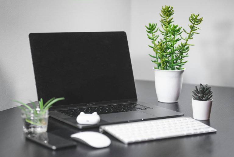 laptop and plant on on a table